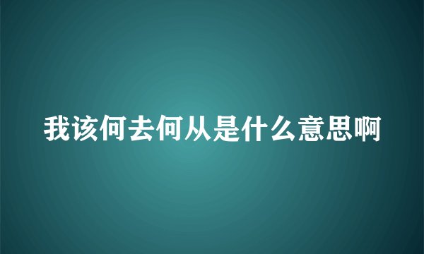 我该何去何从是什么意思啊