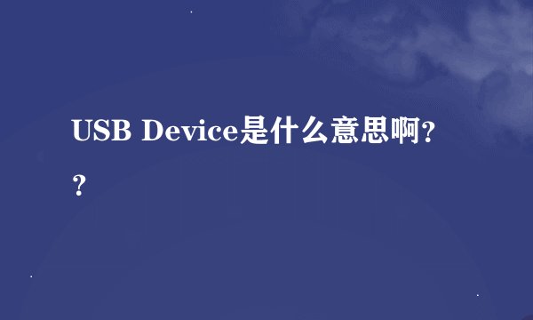 USB Device是什么意思啊？？
