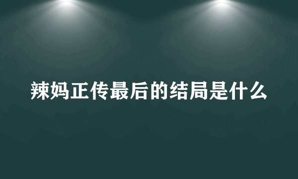 辣妈正传最后的结局是什么