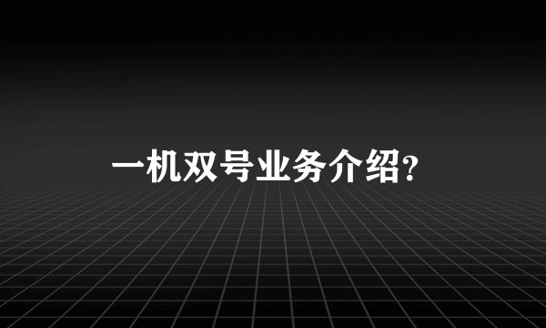 一机双号业务介绍？