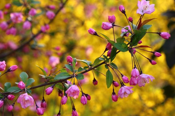 微信和微博有什么异同点？