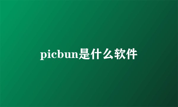 picbun是什么软件
