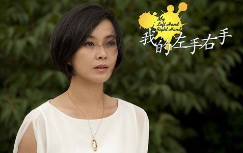 我的左手右手分集剧情