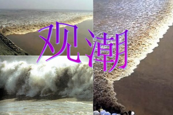 风号浪吼拼音怎么读