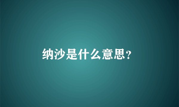 纳沙是什么意思？