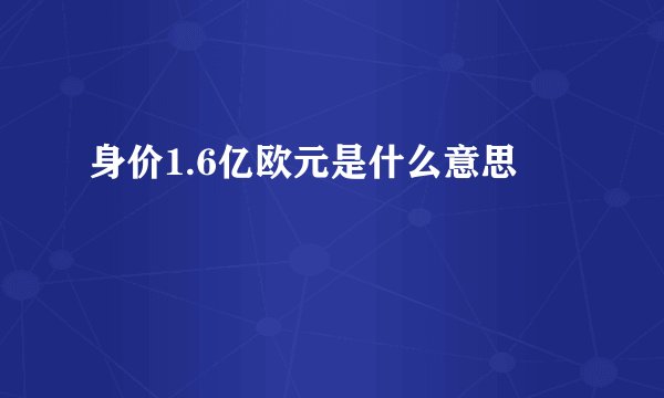 身价1.6亿欧元是什么意思