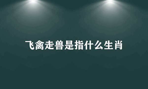 飞禽走兽是指什么生肖