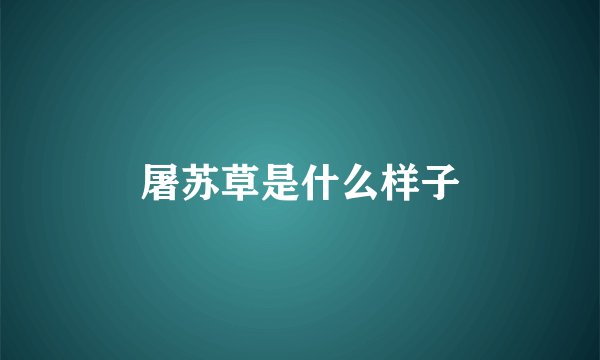屠苏草是什么样子