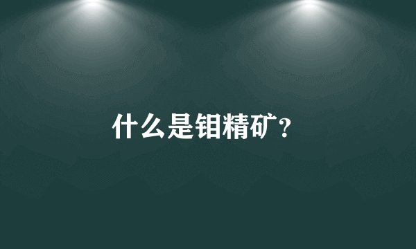 什么是钼精矿？