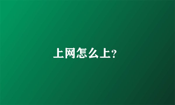 上网怎么上？