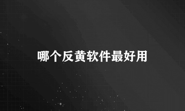 哪个反黄软件最好用