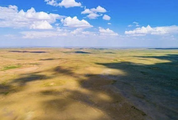 91一码二码区别在哪儿啊