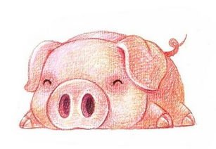 不依不饶，在吃醋后特别疯狂的生肖有哪几个？