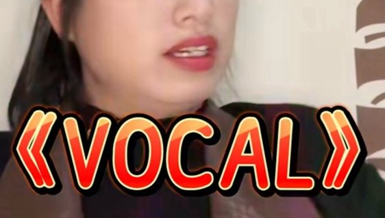 vocal是什么梗？