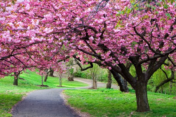 微信和微博有什么异同点？