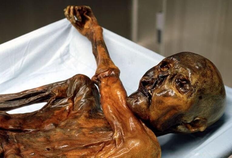 木乃伊是人还是鬼 尸体千年不腐是怎么形成的