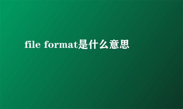 file format是什么意思