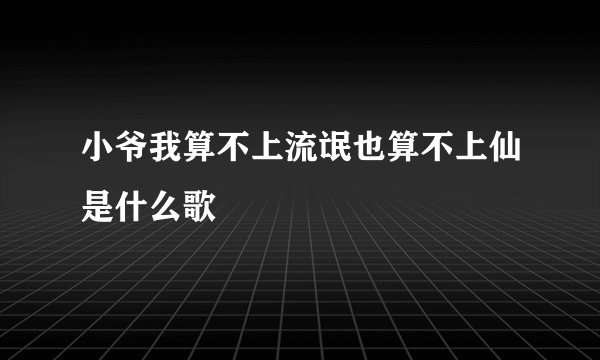小爷我算不上流氓也算不上仙是什么歌
