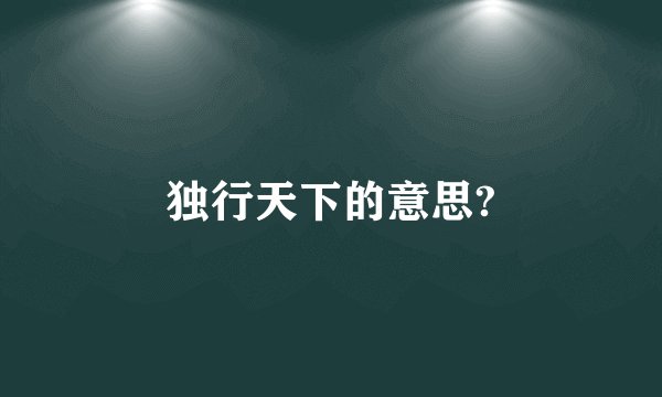独行天下的意思?