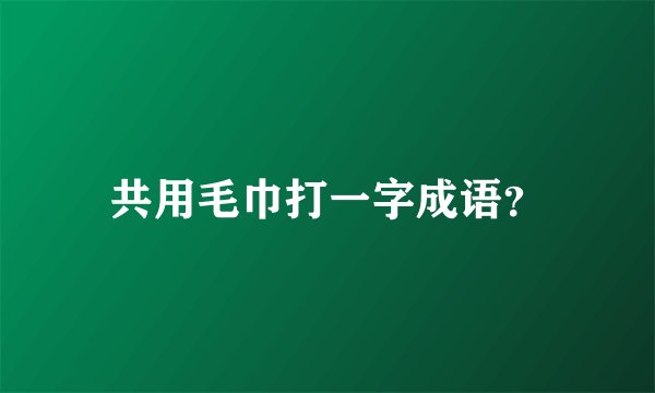 共用毛巾打一字成语？