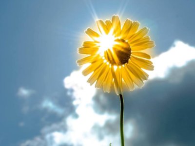 夜街迷是什么日文歌