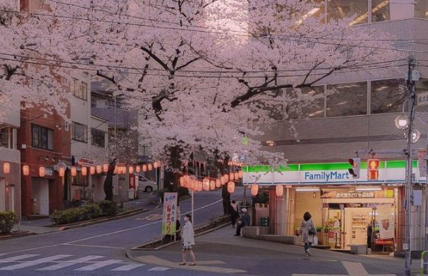 哪些软件可以下载英文歌曲