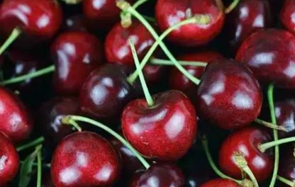 双j车厘子和3j车厘子的区别