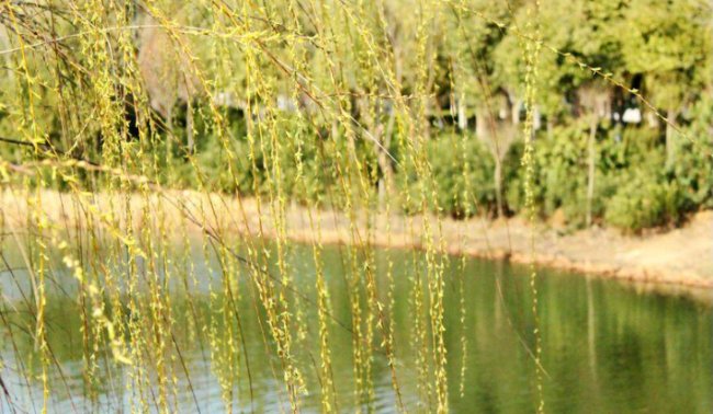 五九六九是什么意思？