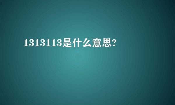 1313113是什么意思?