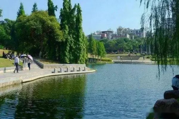 洛阳师范学院专升本分数线是多少？