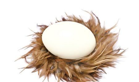 孵的拼音组词部首