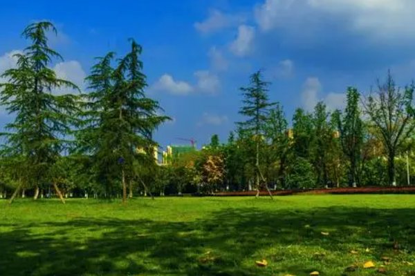 洛阳师范学院专升本分数线是多少？