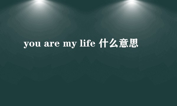you are my life 什么意思