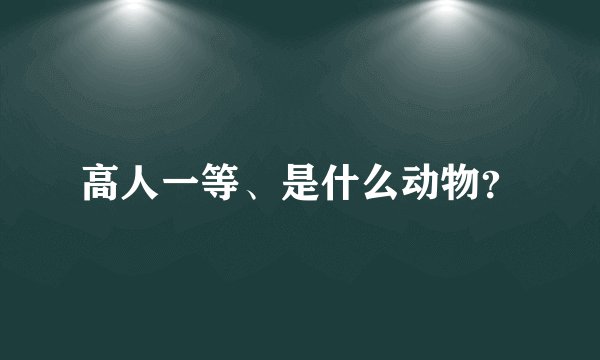 高人一等、是什么动物？