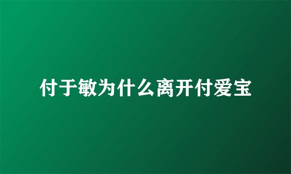 付于敏为什么离开付爱宝