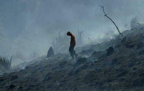 死寂的大结局是什么？