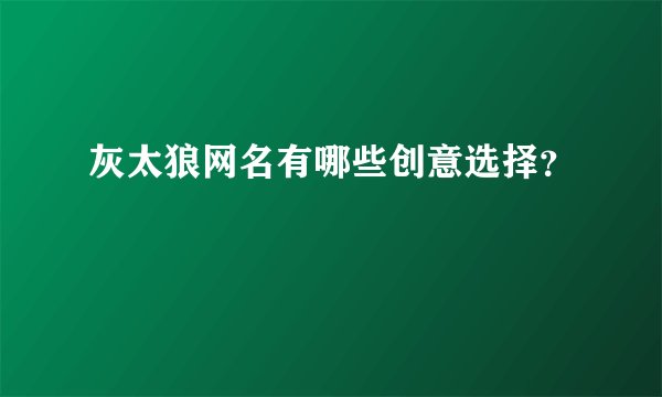 灰太狼网名有哪些创意选择？