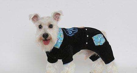 武汉宠物市场在哪里？