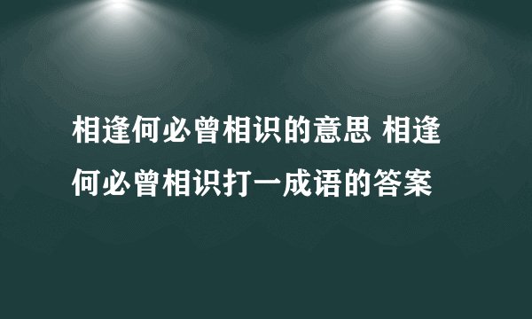 相逢何必曾相识的意思 相逢何必曾相识打一成语的答案