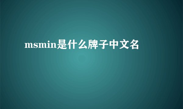 msmin是什么牌子中文名