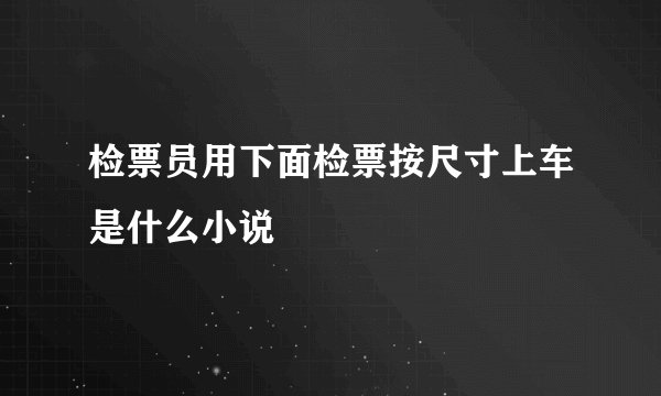 检票员用下面检票按尺寸上车是什么小说