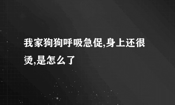 我家狗狗呼吸急促,身上还很烫,是怎么了