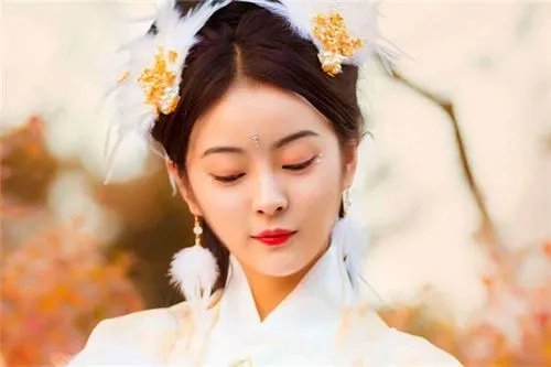 眉下添眉打一正确生肖