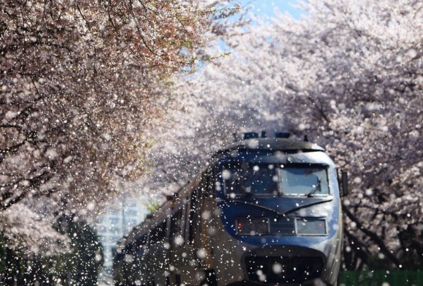 哪些软件可以下载英文歌曲