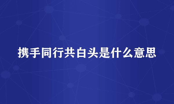 携手同行共白头是什么意思