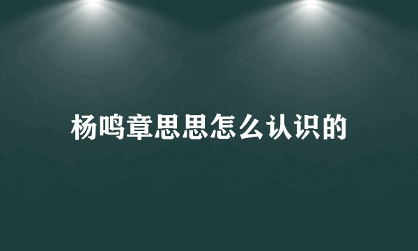 杨鸣章思思怎么认识的