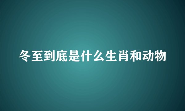 冬至到底是什么生肖和动物