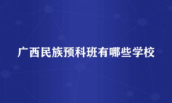 广西民族预科班有哪些学校