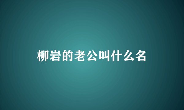 柳岩的老公叫什么名