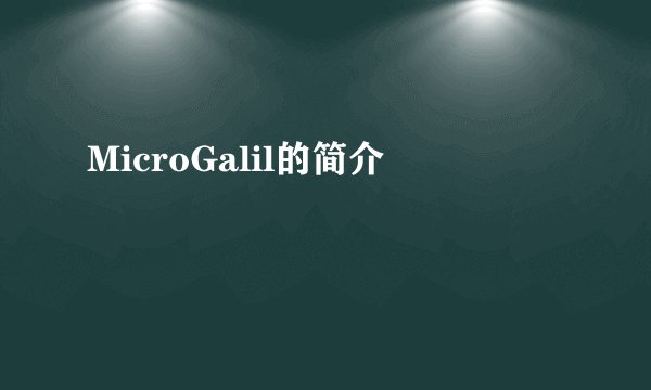 MicroGalil的简介